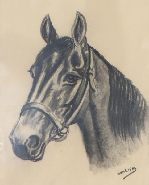 Gunheim Torstensen, hest. Tegning.