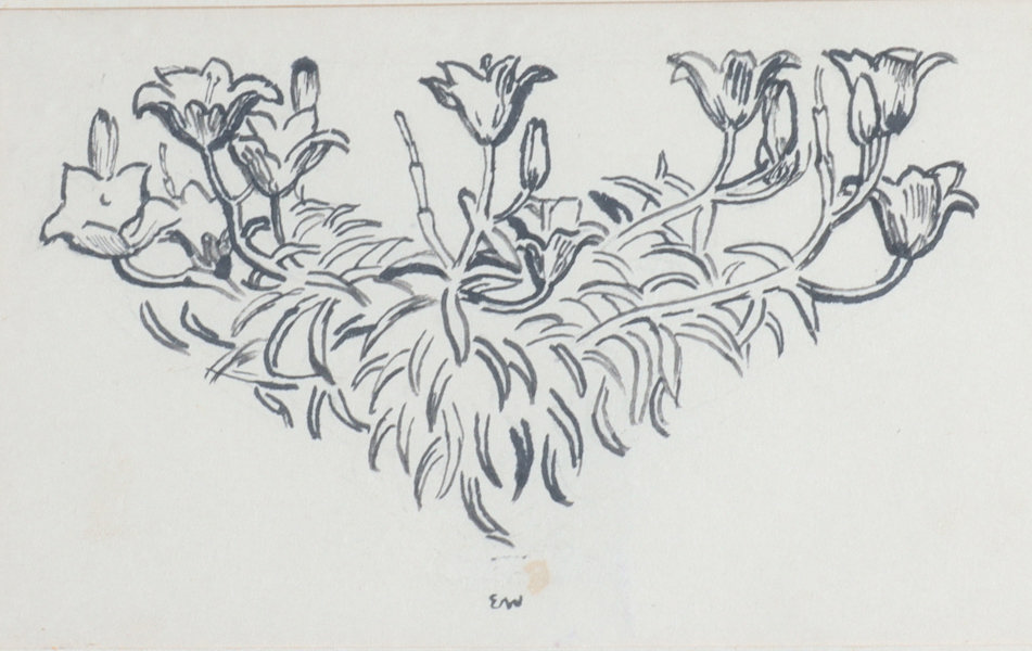 Erik Werenskiold, blomster. Tegning