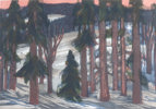 50930a_8dda78aa670bfc7_sm.jpeg