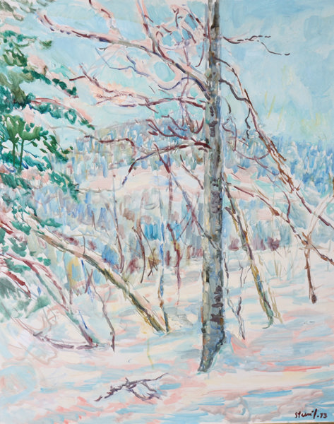 Søren Steen-Johnsen. vinter. Maleri.
