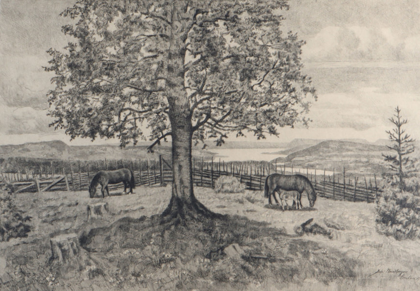 Johan Nordhagen, Mjøslandskap. Radering