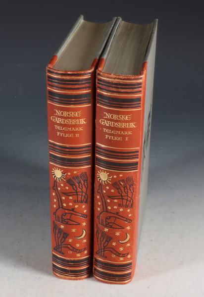 Norske gardsbruk, Telemark 2 b.