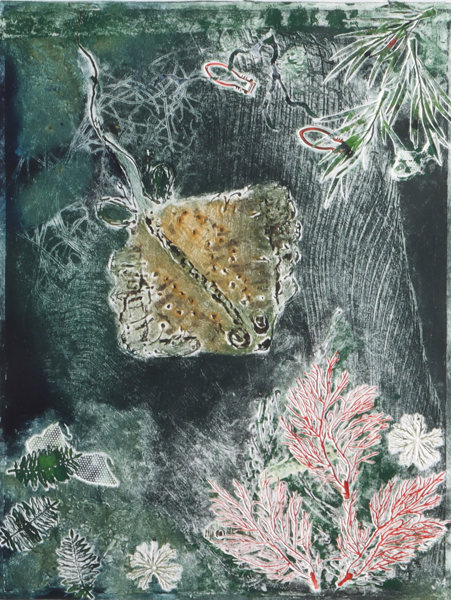 Ba Dedekam, Havdyp. Etsning