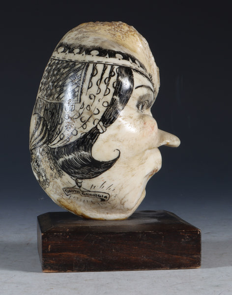 Dekorert hvaløre, South Georgia.