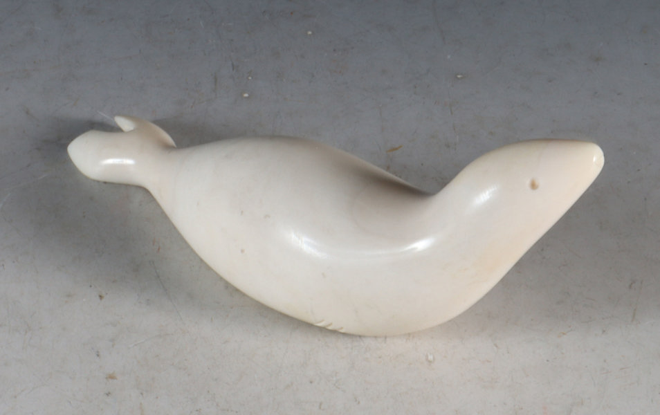 Utskåret hvaltann, sel.