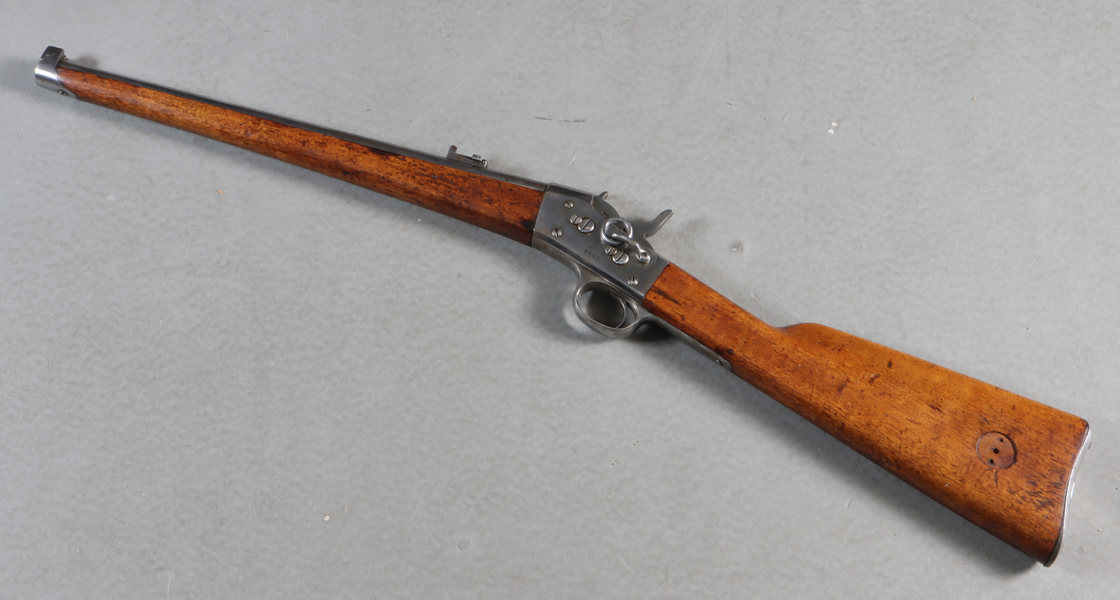 Rytterkarabin, Sverige 1877