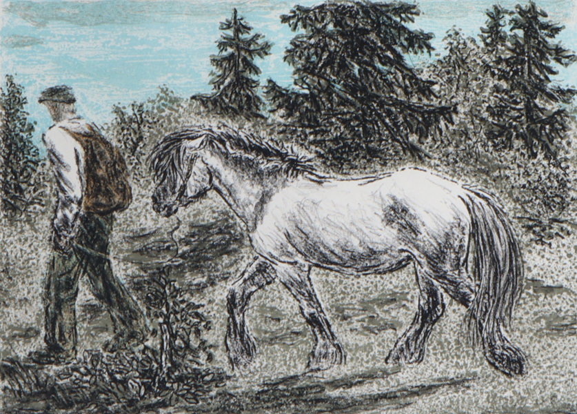 Harald Kihle, Hestehandler. Lito.