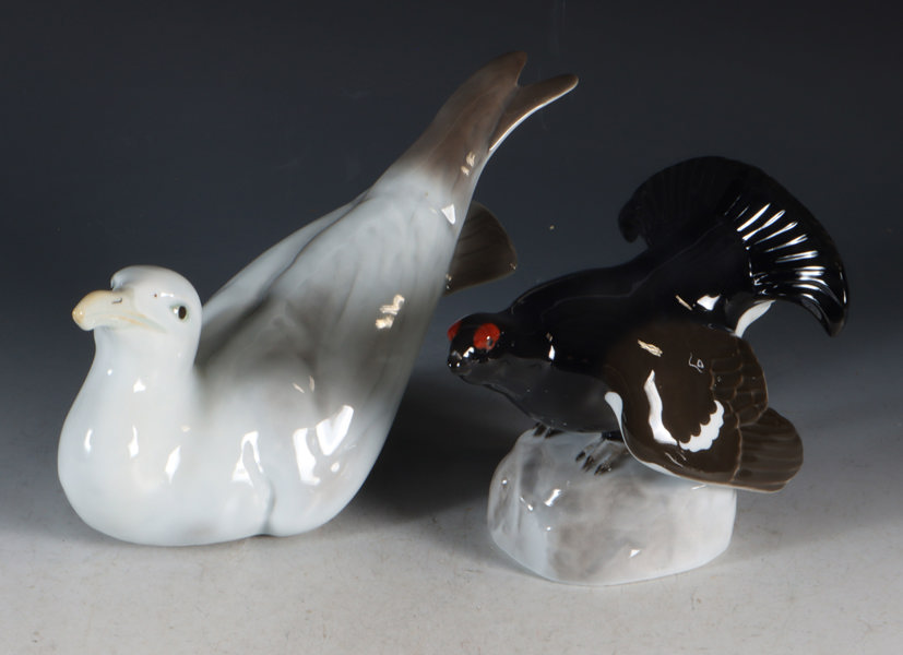 Måke og orrhane, PP