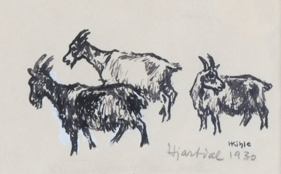 Harald Kihle, geiter. Tegning.