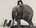 Finn Graff, elefant. Akvarell.