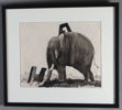 Finn Graff, elefant. Akvarell.