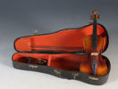 Miniatyrviolin.